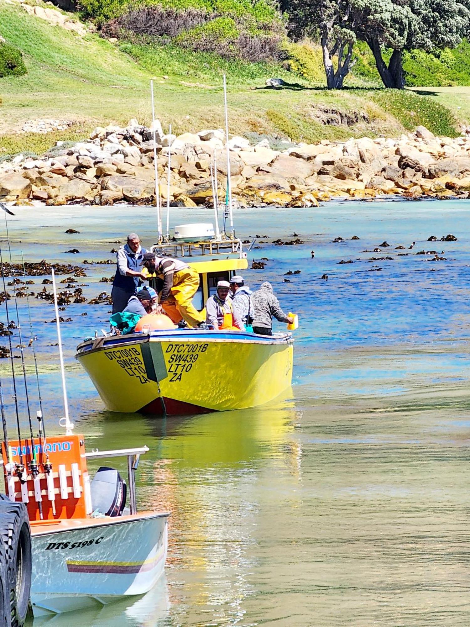 The Tides Bed & Breakfast Simon's Town Bagian luar foto
